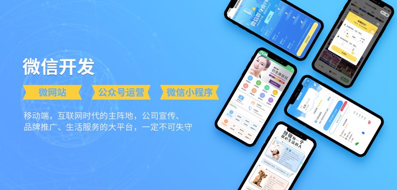 上海软件开发公司怎么选?从定制系统到数字化转型的全流程指南